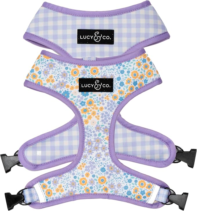 Lucy & Co. Cute Reversible Dog Harness Walking Halter by LucyCo