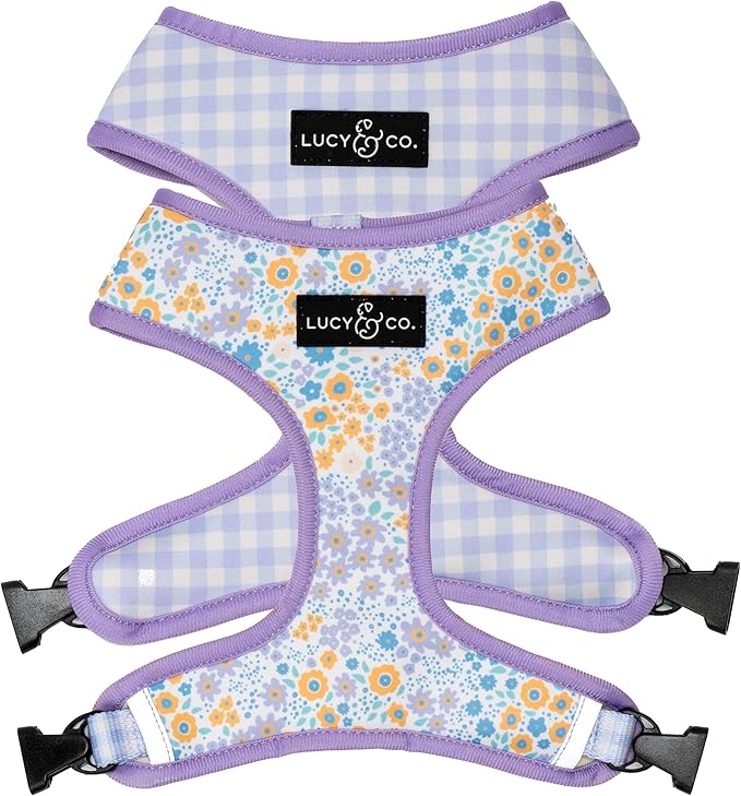 Lucy & Co. Cute Reversible Dog Harness Walking Halter by LucyCo