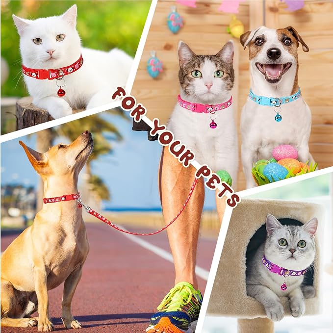 Amylove 48 Pcs Dog Collar and Leash Set, Polypropylene Adjustable Puppy Collars - Image 7