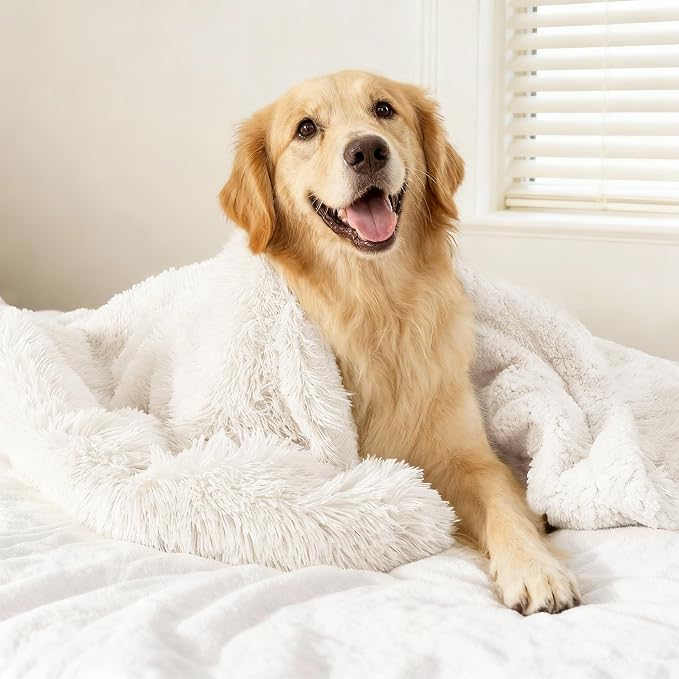 gogobunny Waterproof Dog Blanket by gogobunny