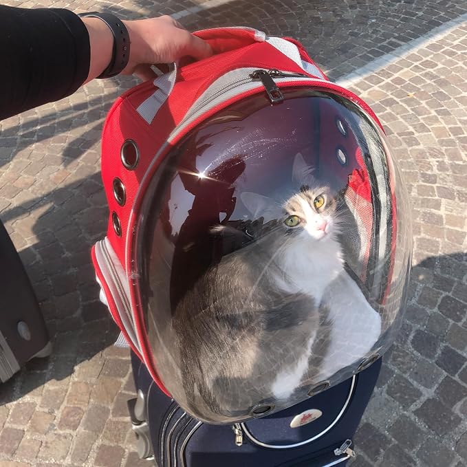Cat Backpack Carrier, Back Expandable Pet Backpack - Image 8