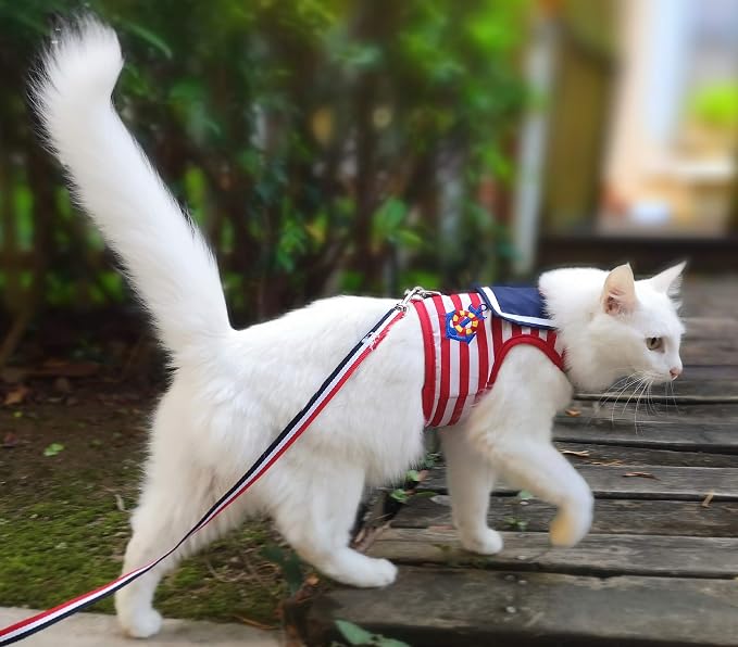 Cat Harness and Leash for Walking Escape Proof, Adjustable Cat Vest Harness - Image 6