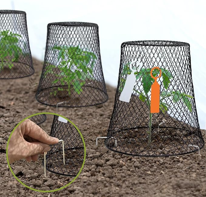 20 Pcs 9"×9" Chicken Wire Plant Protectors from Animals, Plant Cage Garden - Image 7