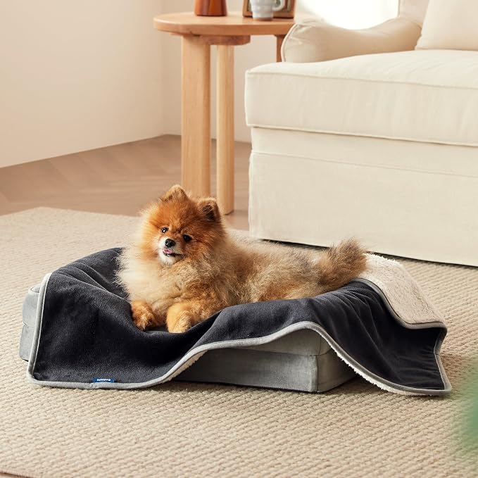 Bedsure Cat Blanket for Indoor Cats by BEDSURE
