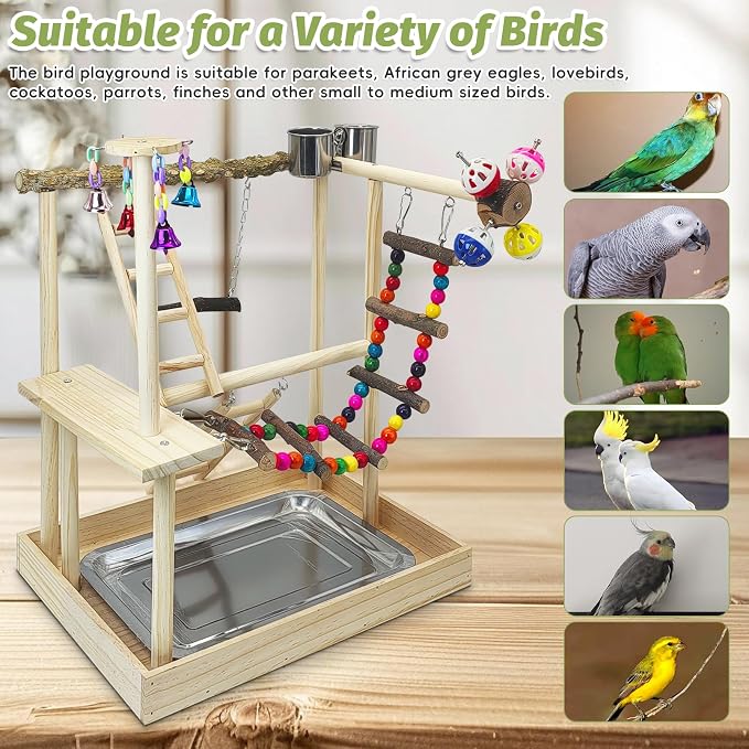 PINVNBY Bird Playground Parrot Perch Stand Play Gym Cockatiel Wood Bird Toys - Image 5
