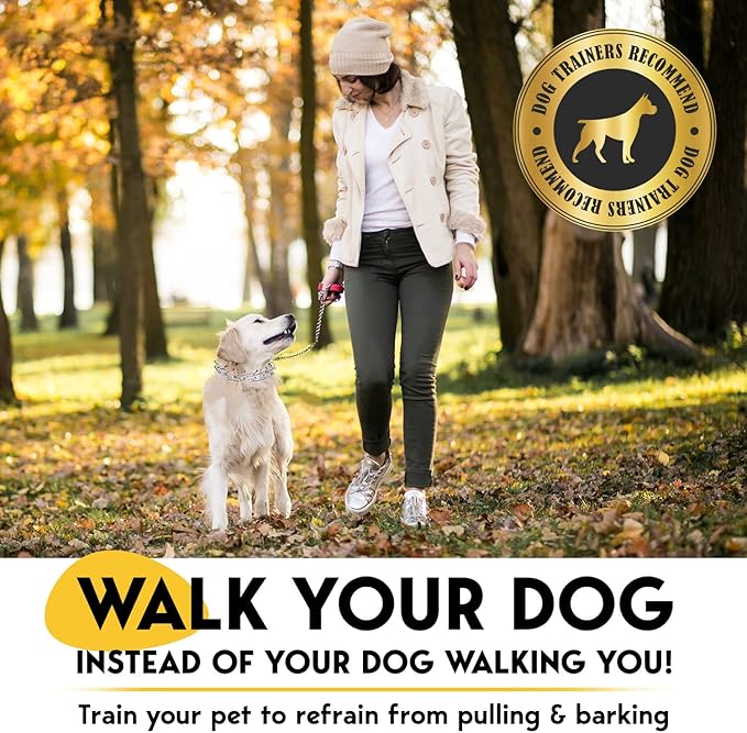 PetJett Prong Collar for Dogs - Image 2