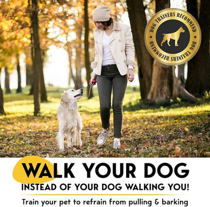 PetJett ProTrainer Prong Collar - Image 2