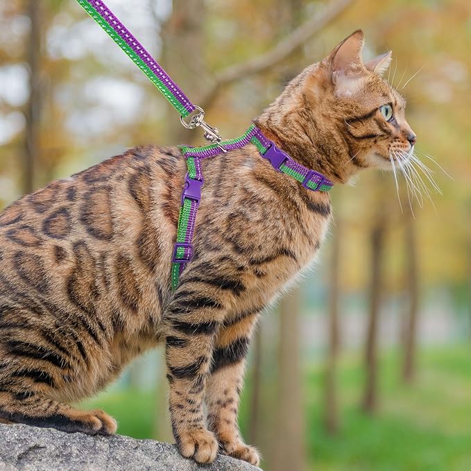 PUPTECK Adjustable Cat Harness and Leash Set Escape Proof Kitten Strap Collar - Image 7