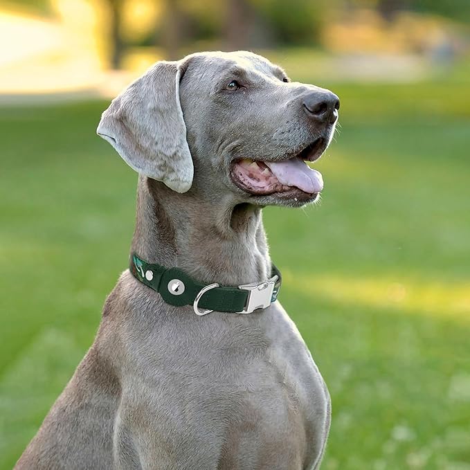 AirTag Dog Collar for Small Medium Large Breed - Image 7