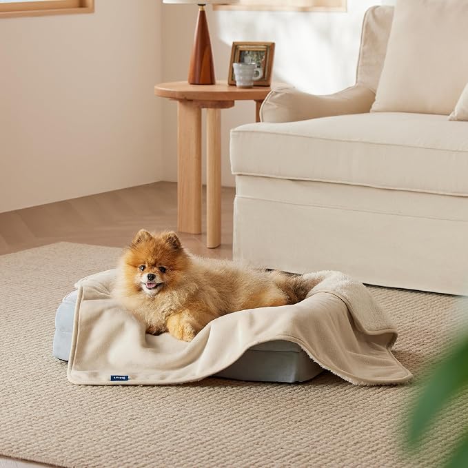 Bedsure Cat Blanket for Indoor Cats - Image 9