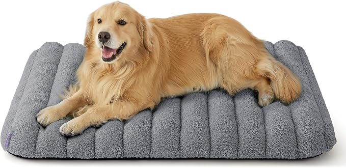 LE SURE Cute Orthopedic Dog Bed by Lesure