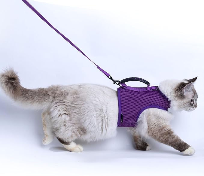 Cat Harness and Leash for Walking Escape Proof Breathable Mesh Fabric, by Yizhi+Miaow