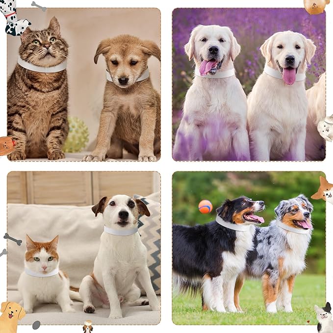 500 Count 20inch Adjustable Paper Dog Collars - Image 6