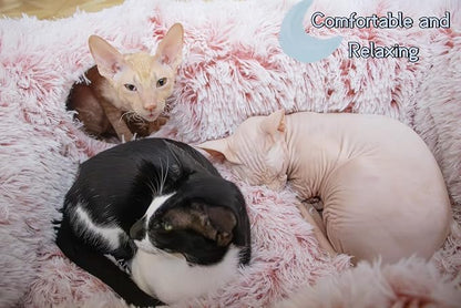 XxingSheep 4 Cave Shuttled XL Cat Tunnel Bed - Image 3