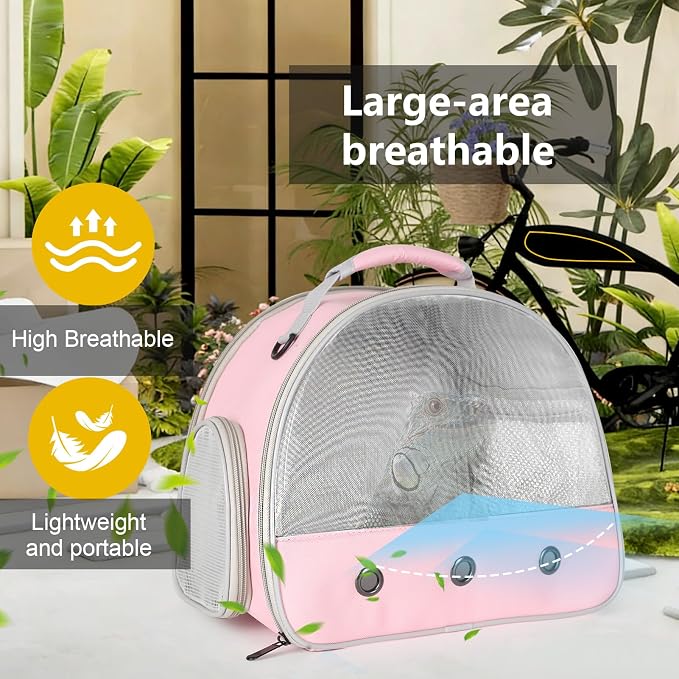 Ventilation Carrier for Bearded Dragon, Guinea Pig Carrier, Guinea Pig Carrier - Image 9