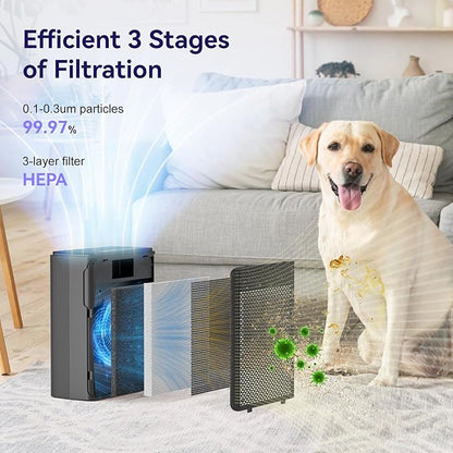 Air Purifiers for Home Pets Covers Up to 1500 Sq Ft, H13 Hepa Filter - Image 4