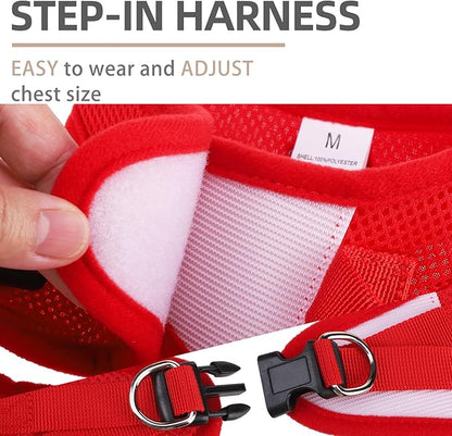 PUPTECK Adjustable Dog Harness Collar and Leash Set Step in No Pull Pet Harness - Image 3