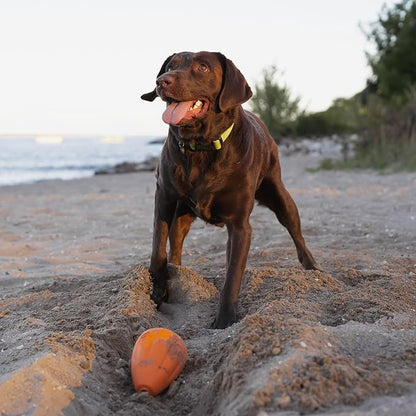 Chew King by Mammoth Premium Treat Dispensing Dog Toy, Durable Natural Rubber - Image 2