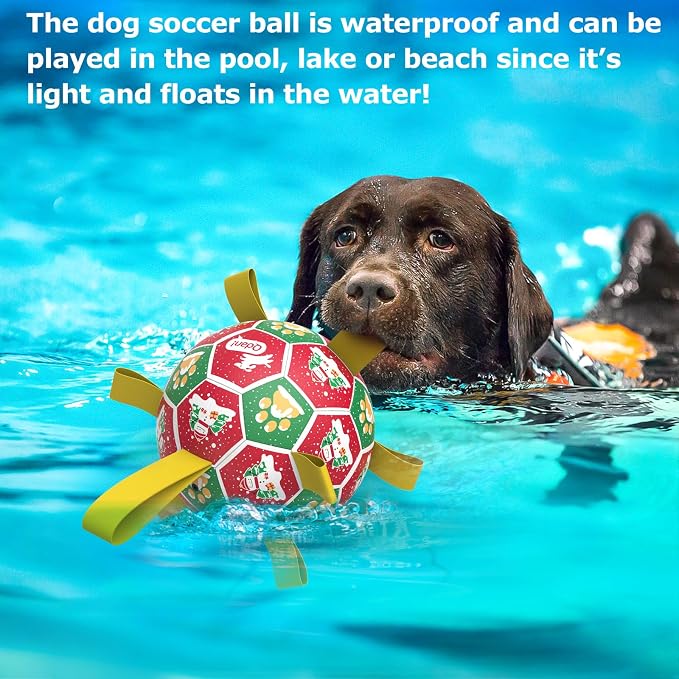 QDAN Christmas Dog Toys: Dog Soccer Ball - Image 8