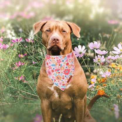 ADOGGYGO Floral Dog Bandana 2 Pack, Reversible Pink Daisy Puppy Scarf Bib - Image 3