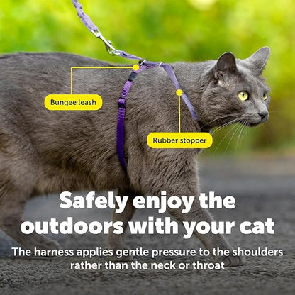 PetSafe Come With Me Kitty Cat Harness & Bungee Leash - Image 5