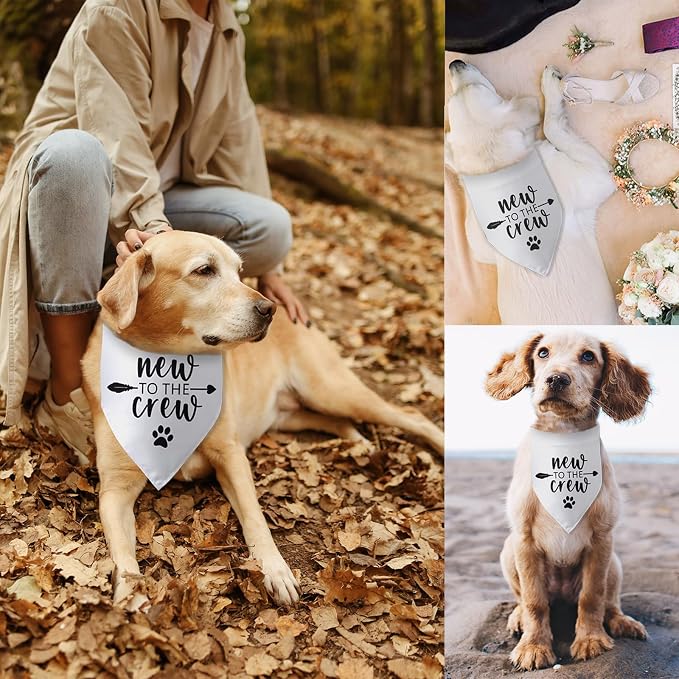 New to The Crew Dog Bandana New Puppy Announcement Gift - Image 5