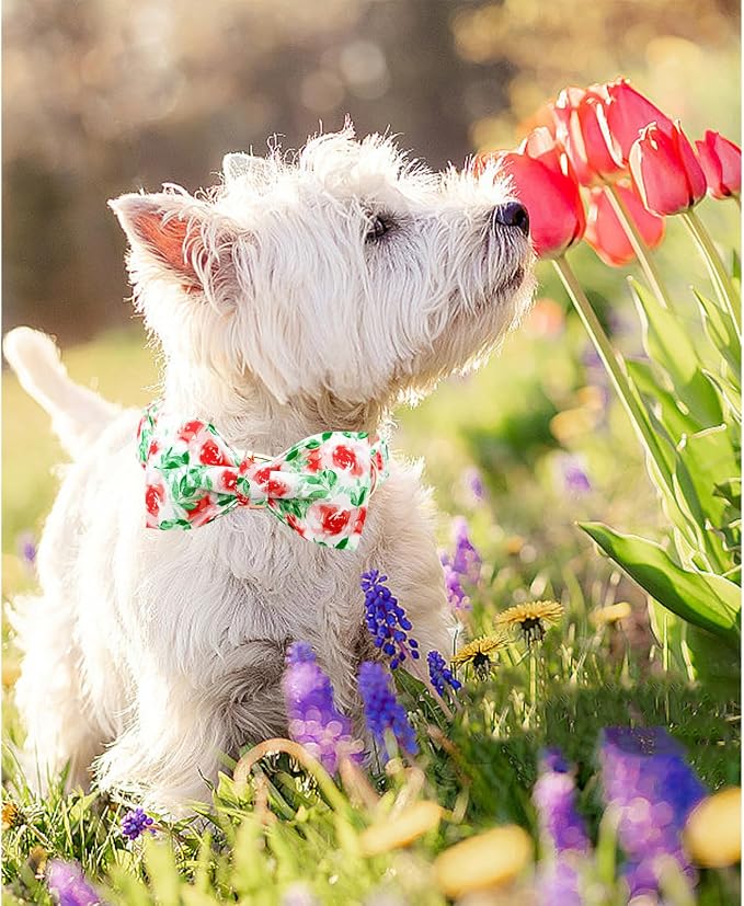 Lionheart glory Dog Collar Bow Collar Floral Dog Collar - Image 5