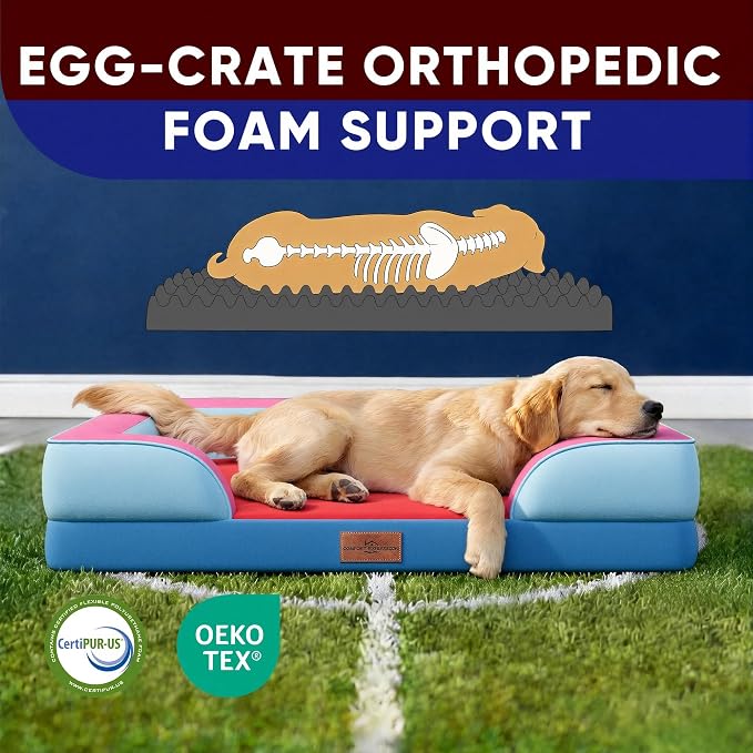 Comfort Expression Orthopedic Dog Bed - Image 3