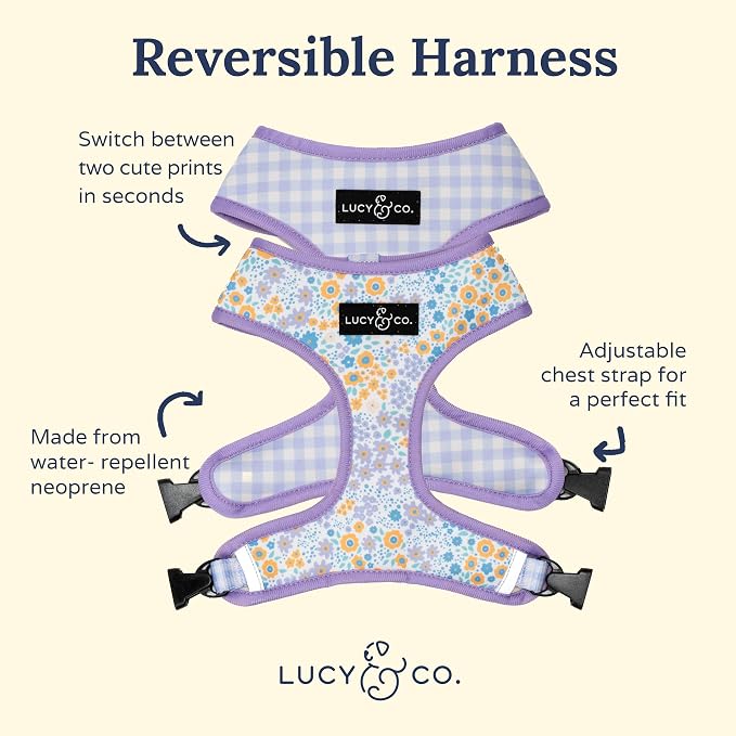 Lucy & Co. Cute Reversible Dog Harness Walking Halter - Image 2