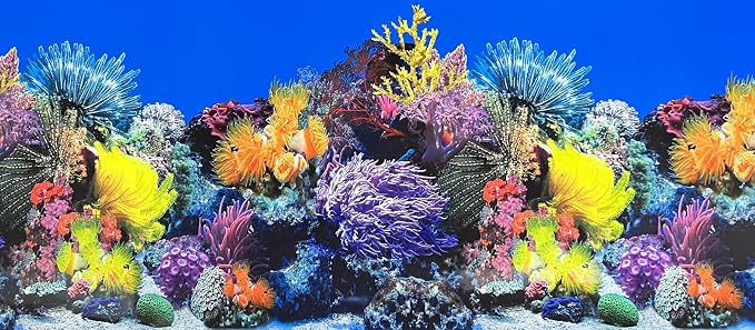 Fish Tank Background Sea Anemone Coral Theme Aquarium Background Poster Fish by XCNO