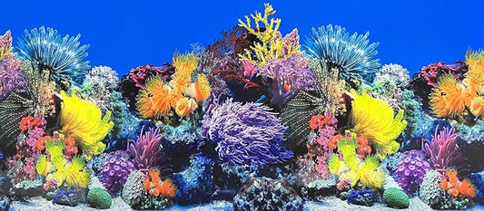 Fish Tank Background Sea Anemone Coral Theme Aquarium Background Poster Fish by XCNO