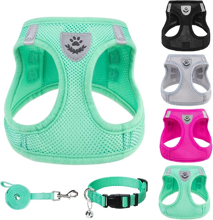 PUPTECK Adjustable Dog Harness Collar and Leash Set Step in No Pull Pet Harness by PUPTECK