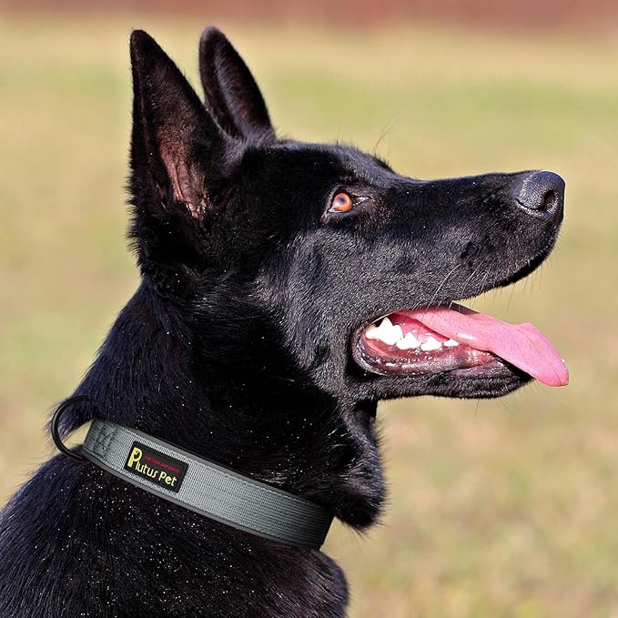Plutus Pet Tactical Dog Collar, Reflective, Adjustable Heavy Duty Dog Collar - Image 6