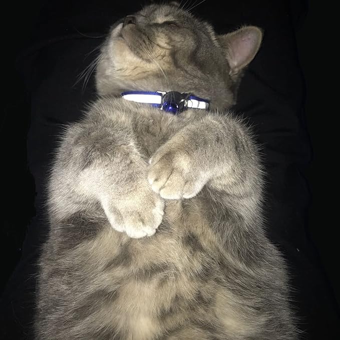 Breakaway Reflective Nylon Cat Collars - Image 6