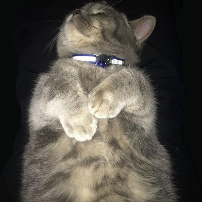 Breakaway Reflective Nylon Cat Collars - Image 6