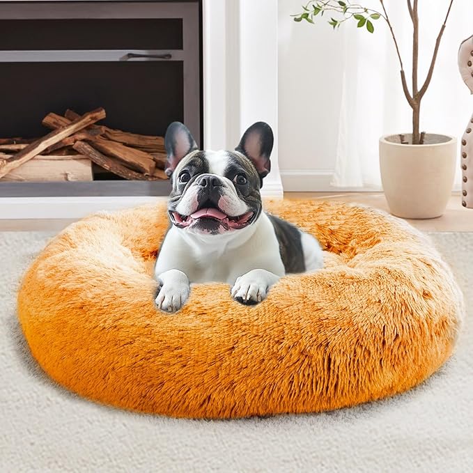 JOLLYVOGUE Calming Dog Bed for Small Dogs by JOLLYVOGUE