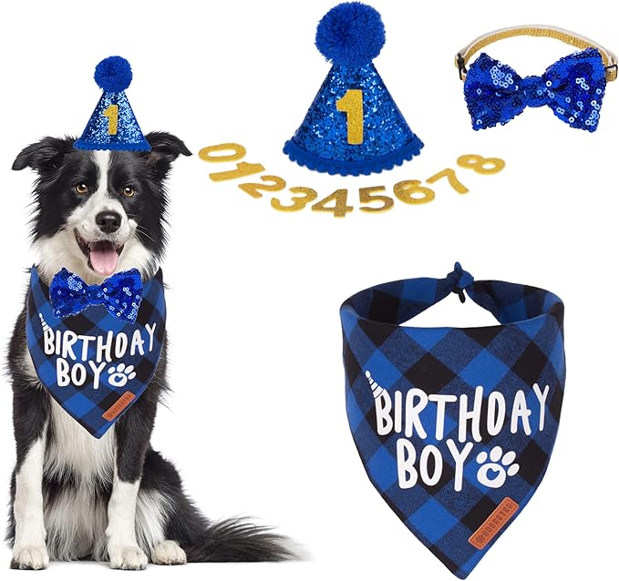 ADOGGYGO Dog Birthday Party Supplies, Pet Party Hat by ADOGGYGO