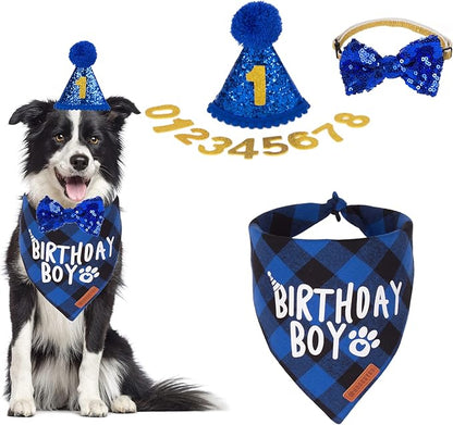 ADOGGYGO Dog Birthday Party Supplies, Pet Party Hat by ADOGGYGO