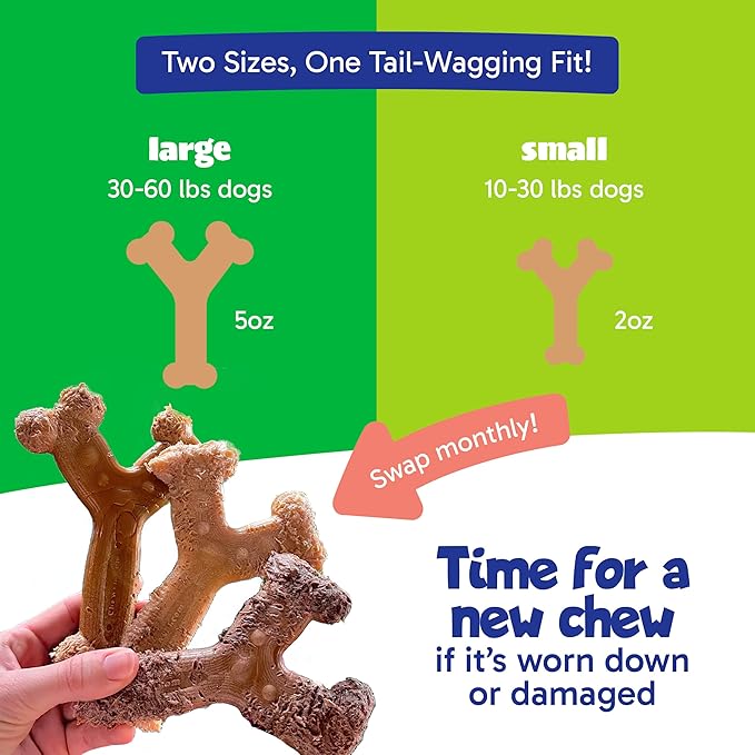Chew'ems Durable Chew Toys for Small Dogs | Long-Lasting & Flavorful Chew Dog - Image 5