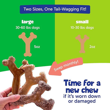 Chew'ems Durable Chew Toys for Small Dogs | Long-Lasting & Flavorful Chew Dog - Image 5
