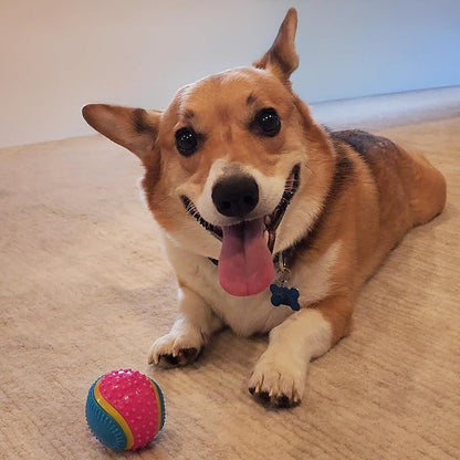 SPOT Sensory Ball for Soft Chewers - Image 7
