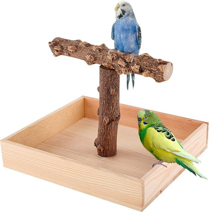 Bird Perch, Portable Tabletop Bird Stand, Training Play T Shaped Stand - Image 2