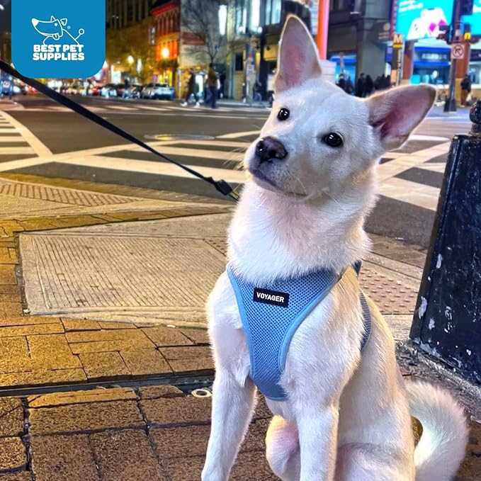 Best Pet Supplies Voyager Step-in Air Harness - Image 9