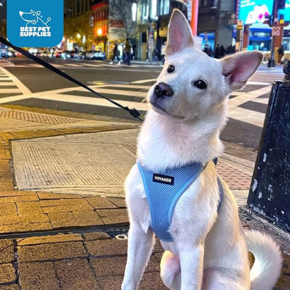 Best Pet Supplies Voyager Step-in Air Harness - Image 9