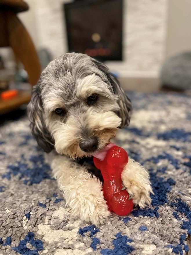SPOT Play Strong Bone- Durable TPR Long Lasting Dog Chew - Image 9