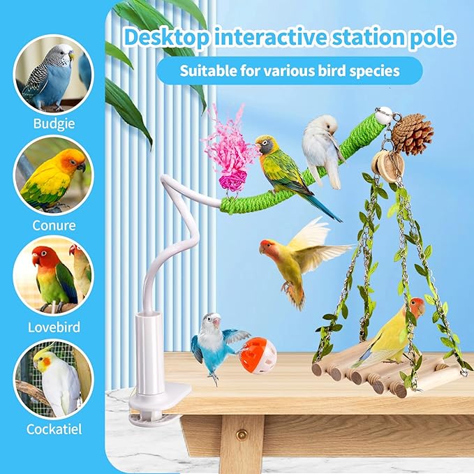Bird Perch Stand with Swing, Desktop Bird Toy & Stand - Image 6