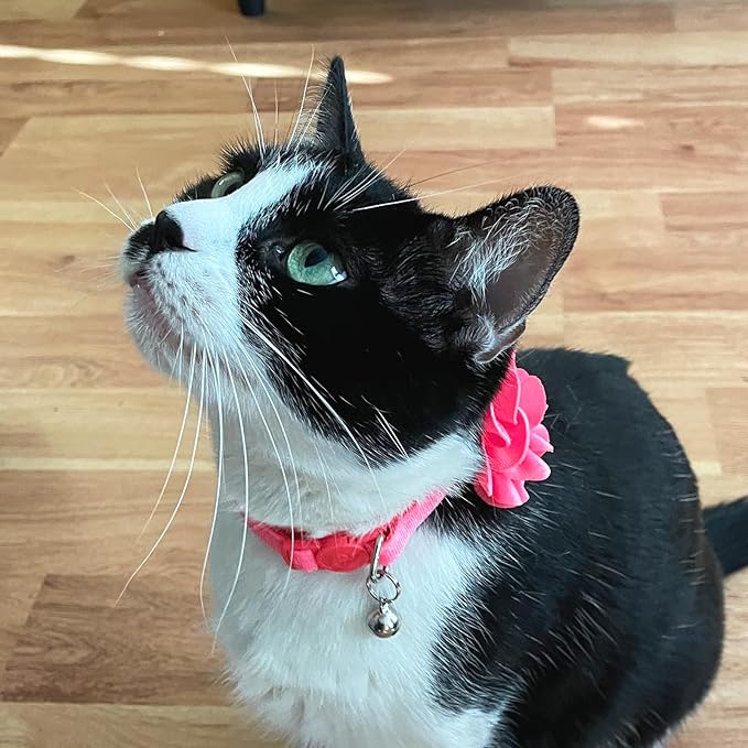 azuza 2 Pack Cat Collar Floral - Image 7