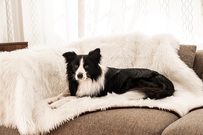 PupProtector Waterproof Throw Blanket - Image 2