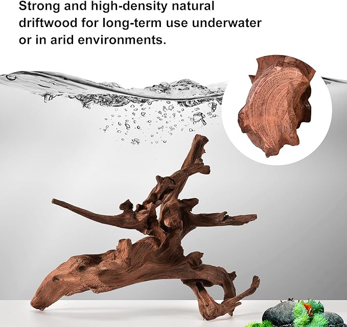 majoywoo Natural Large Driftwood - Image 3