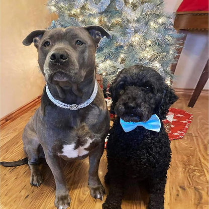 KOOLMOX Light Blue Dog Bow Tie, 2 Pack - Image 4